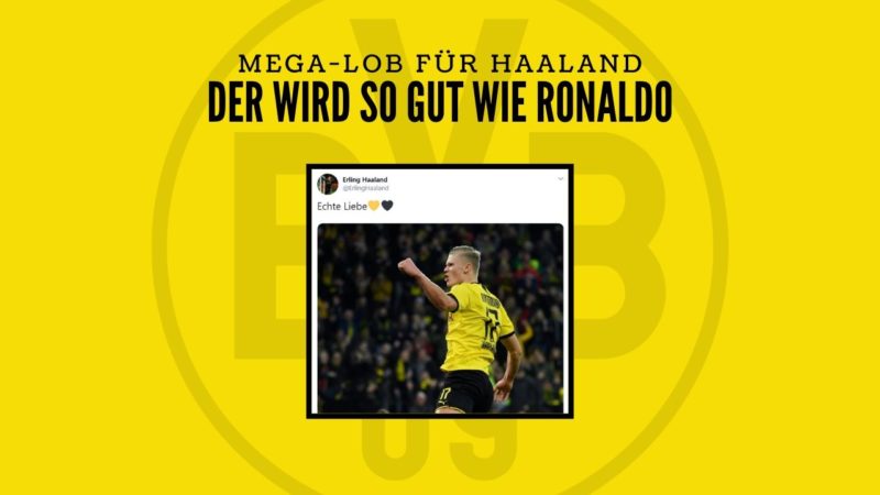 Guido Schäfer: „Haaland wird so gut wie Ronaldo.“