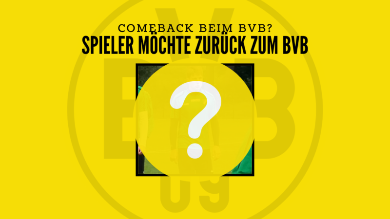 Ex BVB-Spieler: „Eine Rückkehr zum BVB wäre das i-Tüpfelchen“